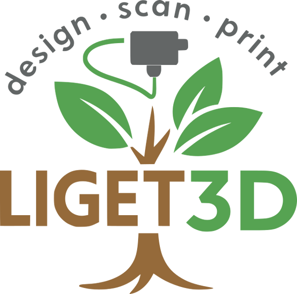 Liget 3D