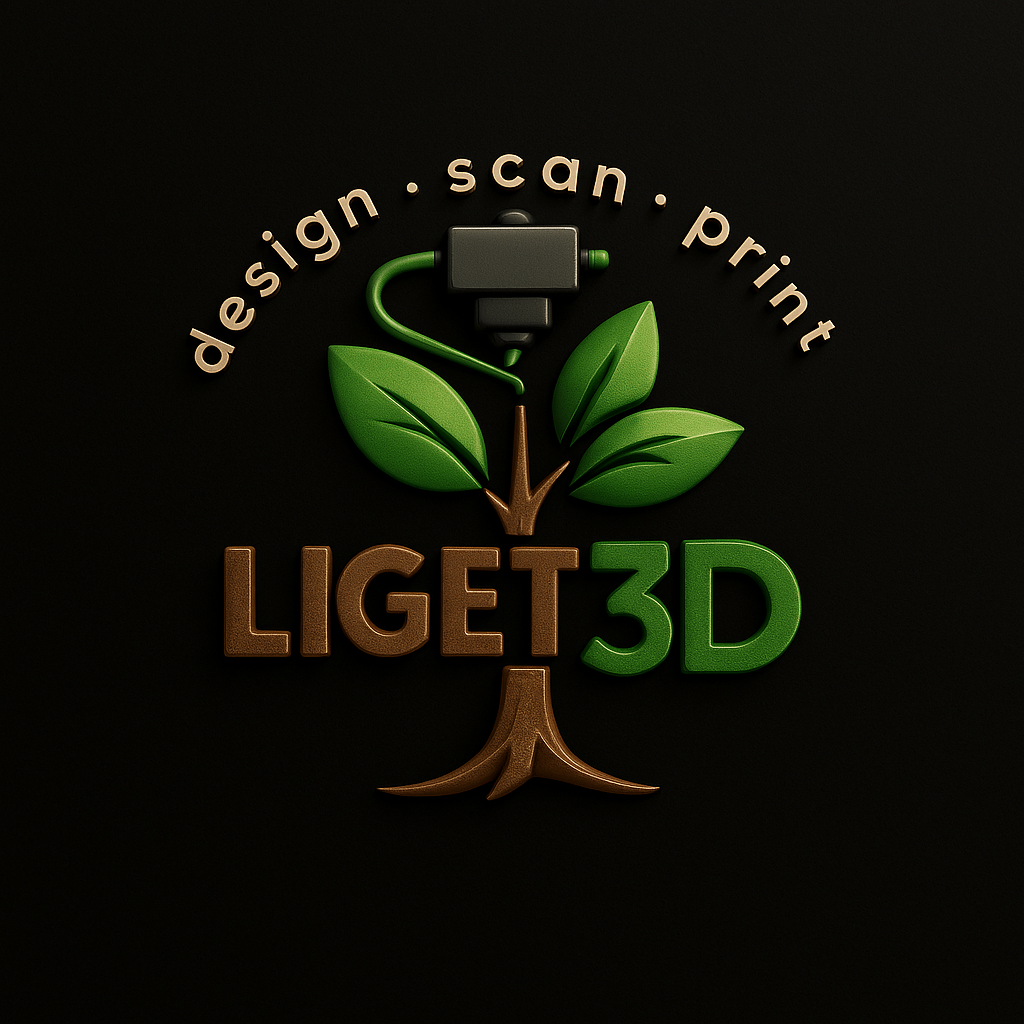 Liget 3D